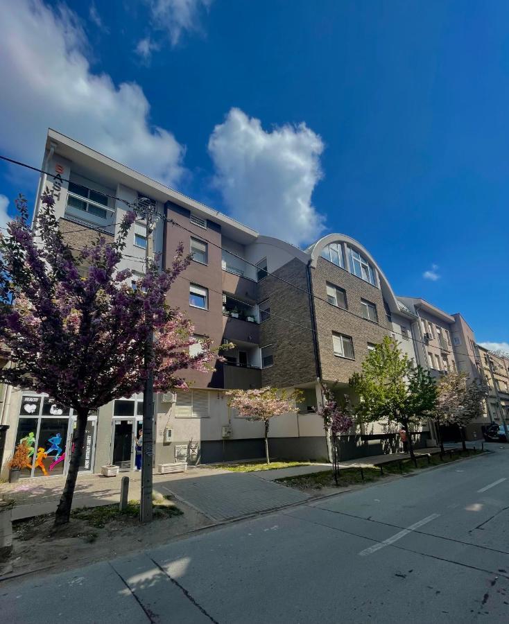 Apartamento Yellow Ns Novi Sad Exterior foto